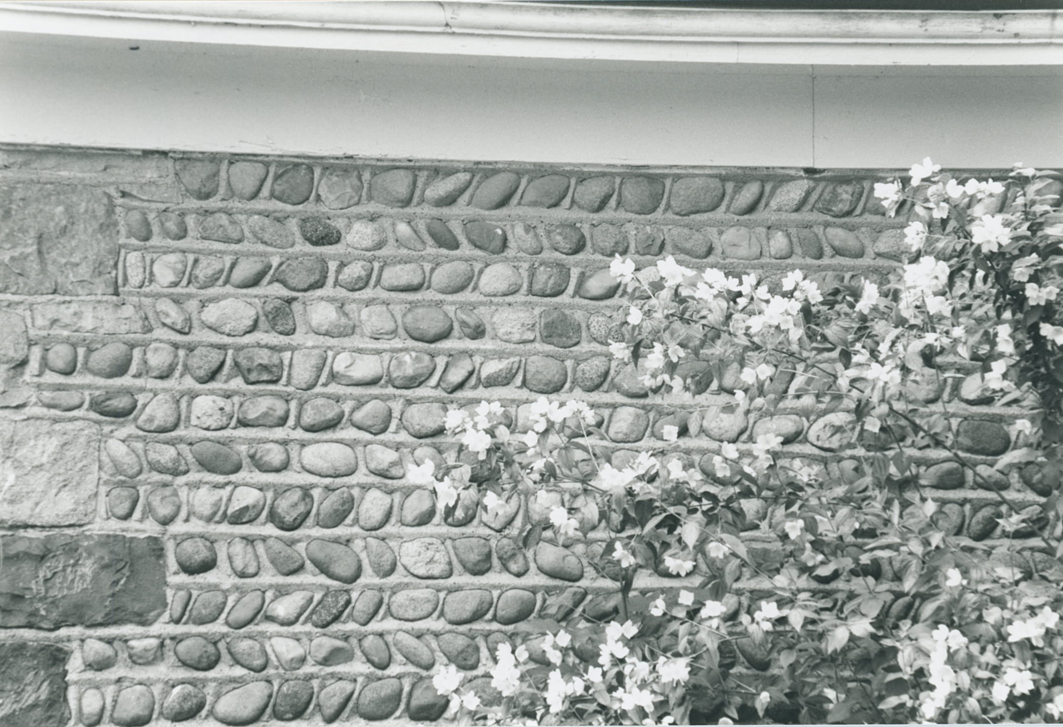 Cas-1 298 Eaton Rd 4